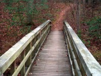 Wooden Bike Trail Bridge