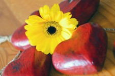 Yellow  Flower And Red Heart