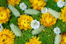 Galben flori aranjament