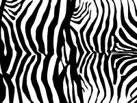 Pelle Zebra Pattern Stampa