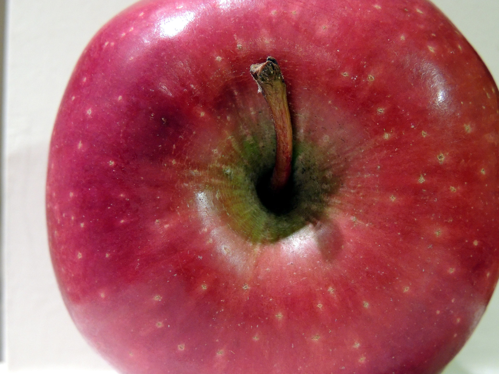 Apple Top Close Up Free Stock Photo - Public Domain Pictures