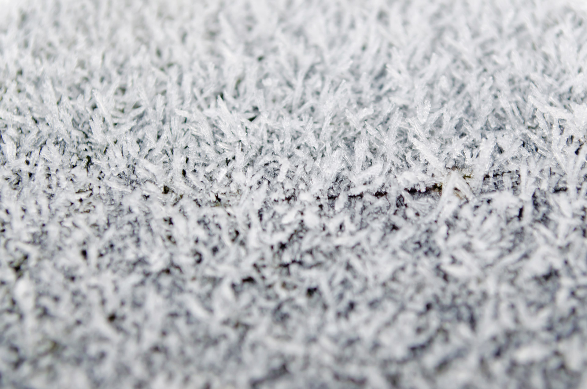 frost-free-stock-photo-public-domain-pictures