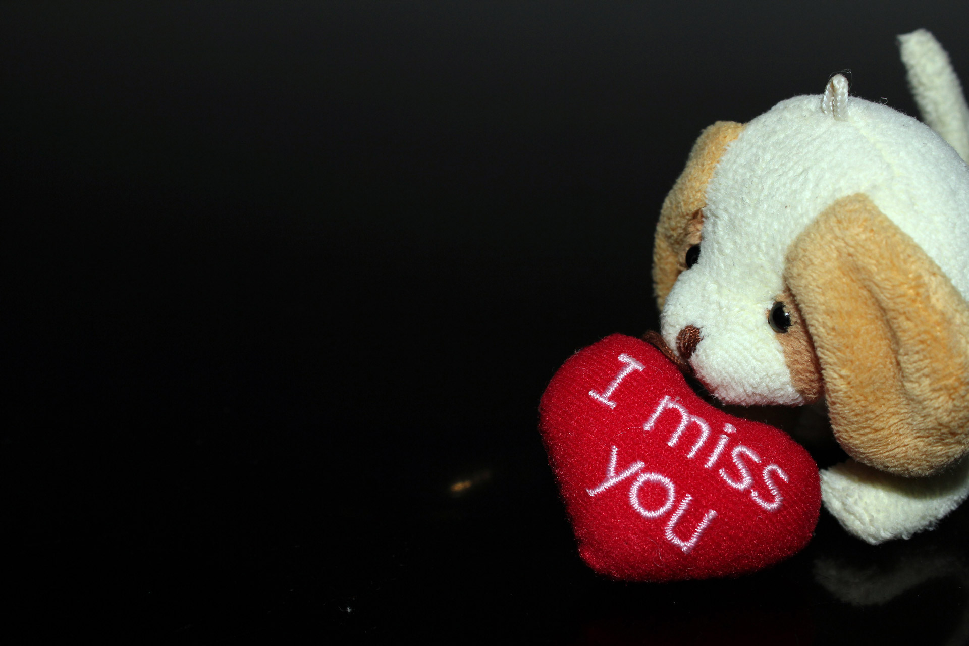 I Miss You Free Stock Photo - Public Domain Pictures