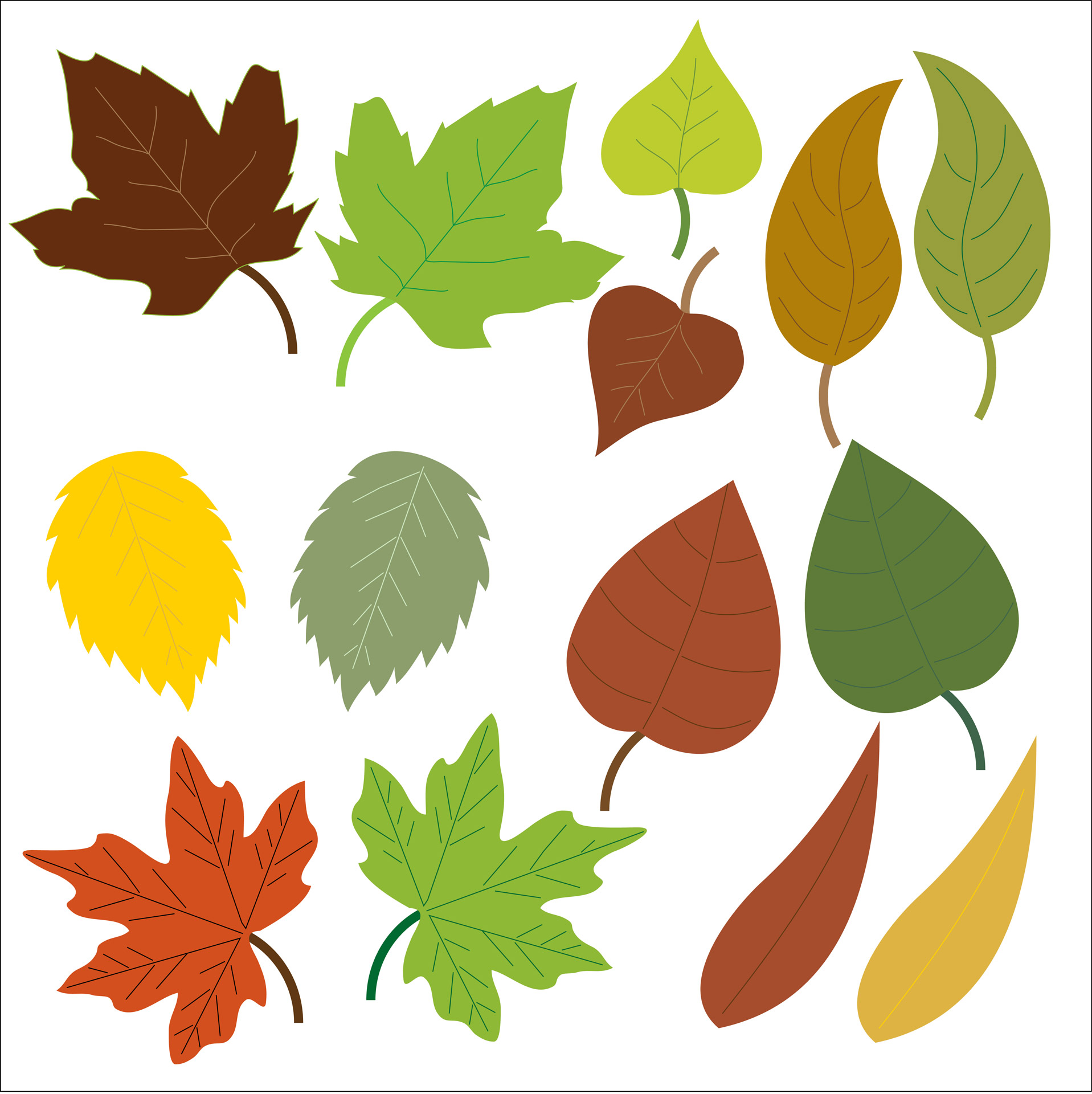 leaf clipart - Clip Art Library