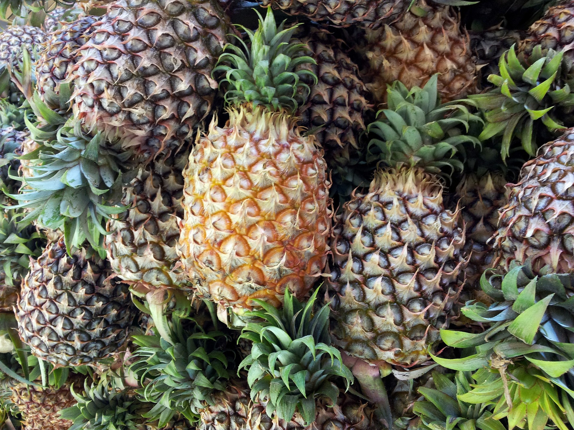 pineapple-pile-up-free-stock-photo-public-domain-pictures