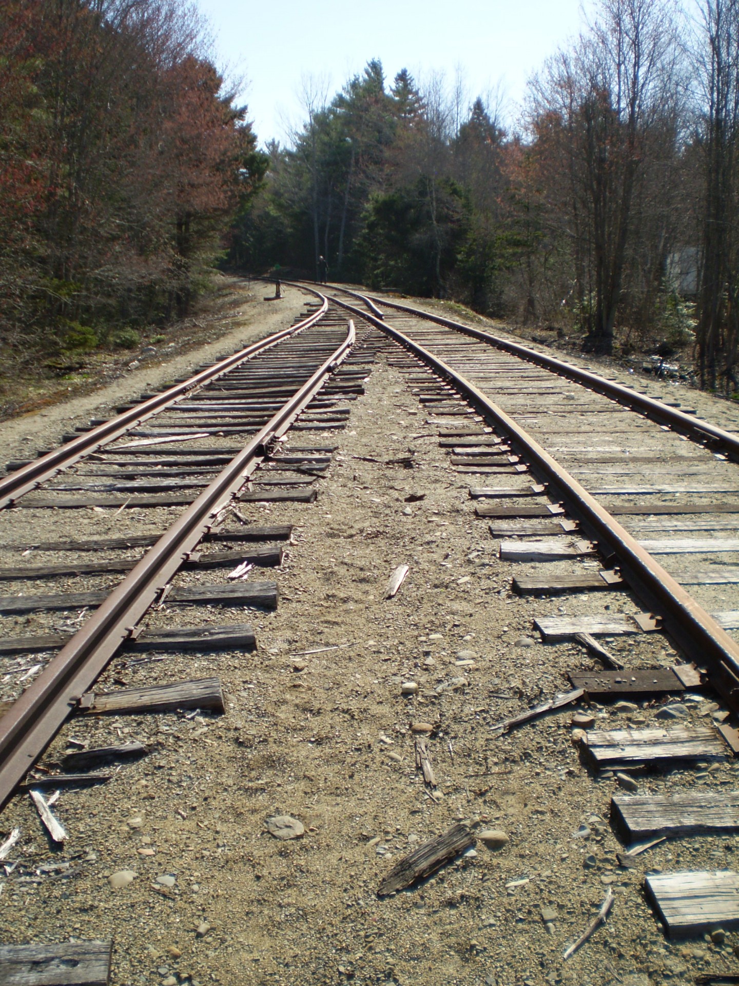 railroad-tracks-free-stock-photo-public-domain-pictures