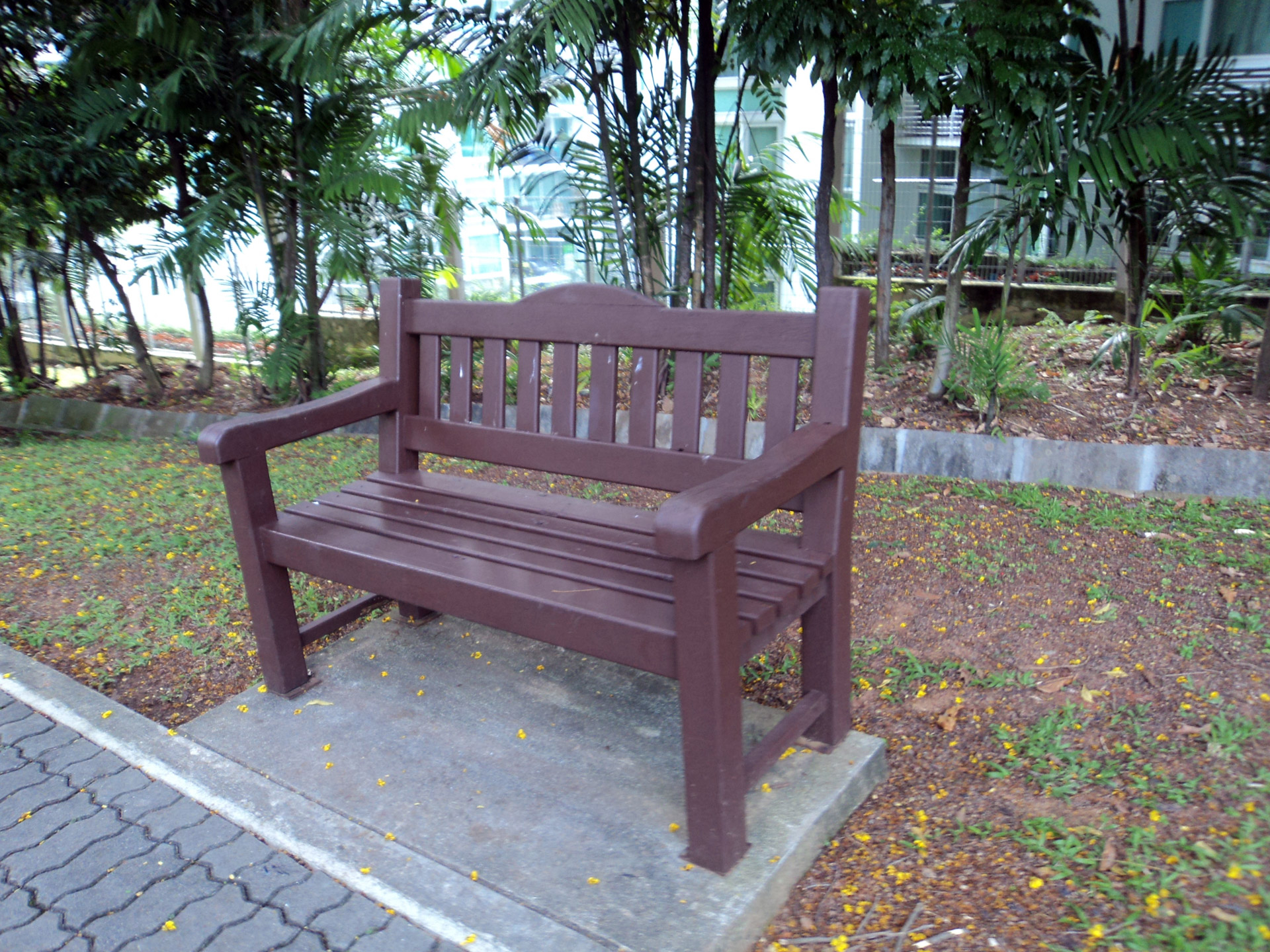 The Bench Free Stock Photo - Public Domain Pictures