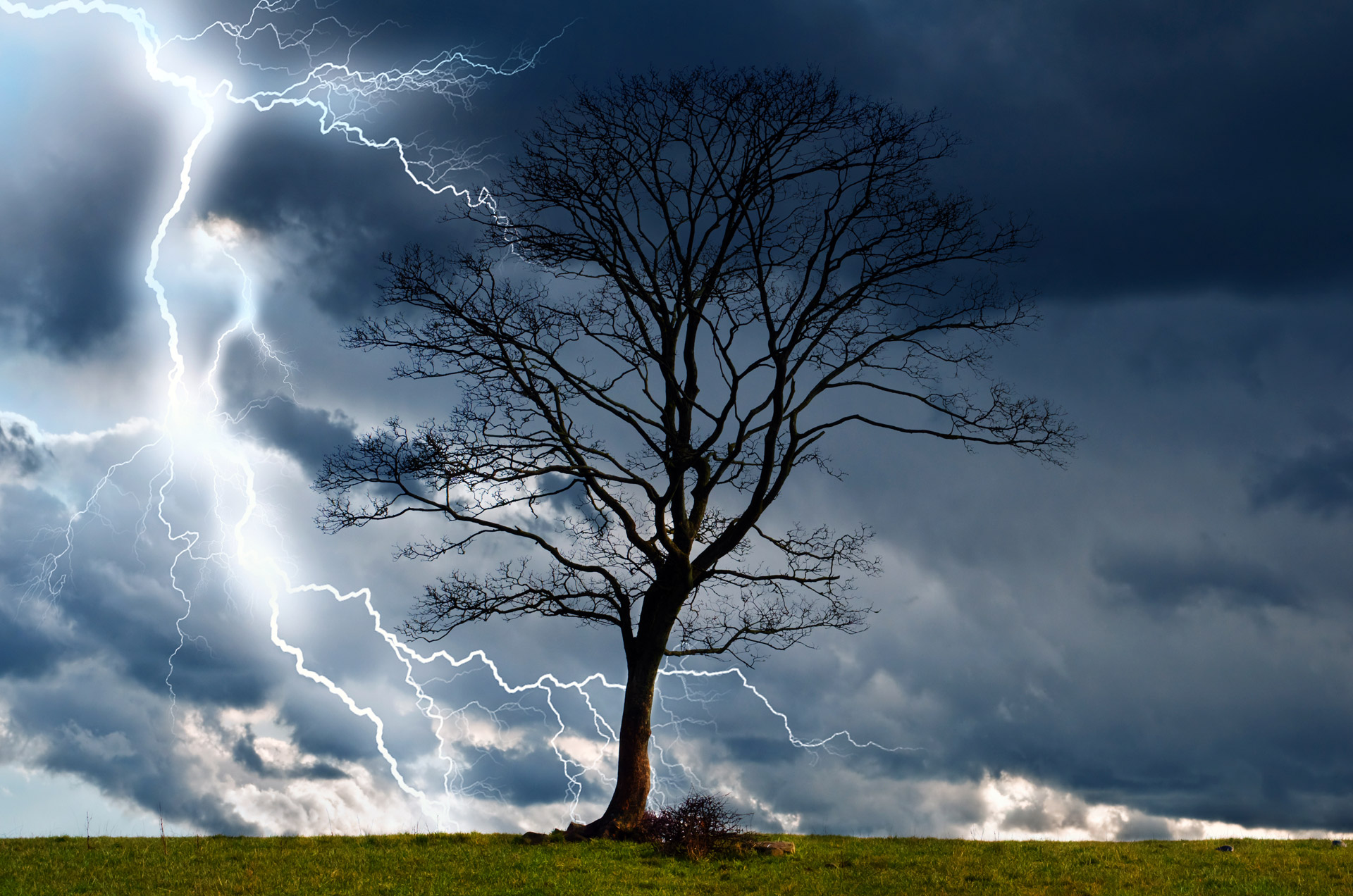 Drzewa i Storm 2