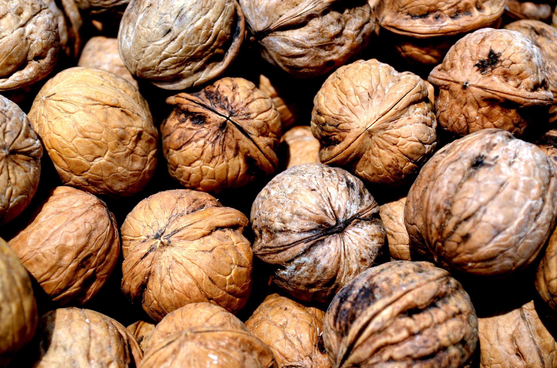 walnuts-free-stock-photo-public-domain-pictures