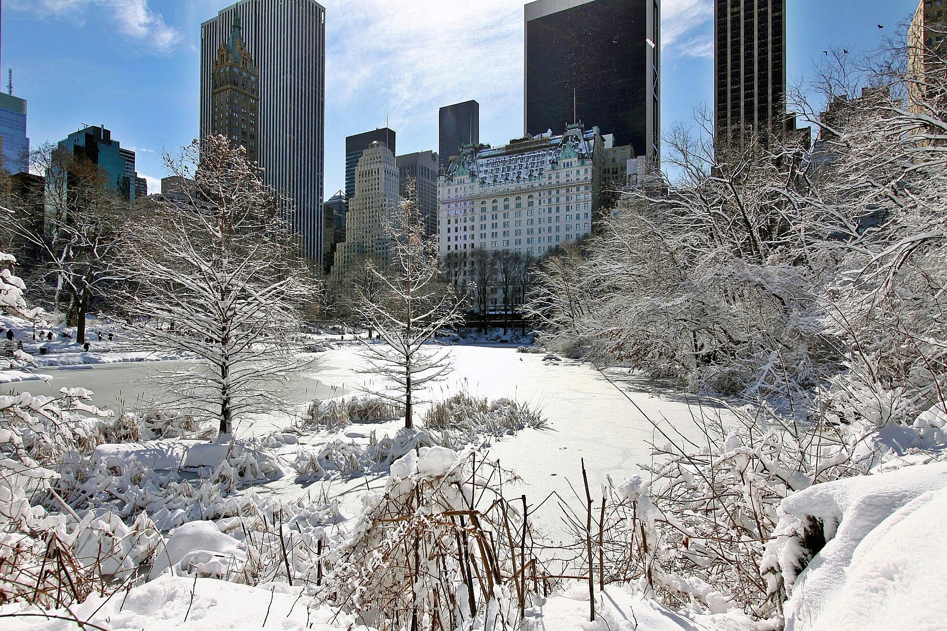 Winter In The City Free Stock Photo - Public Domain Pictures