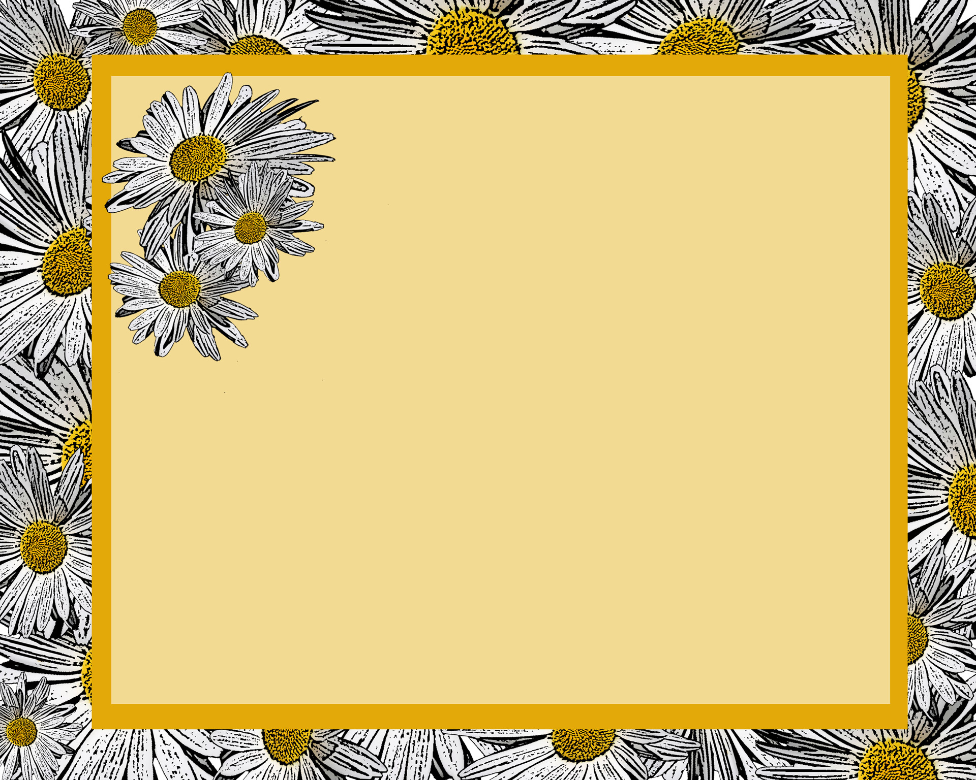 yellow-daisy-invitation-free-stock-photo-public-domain-pictures