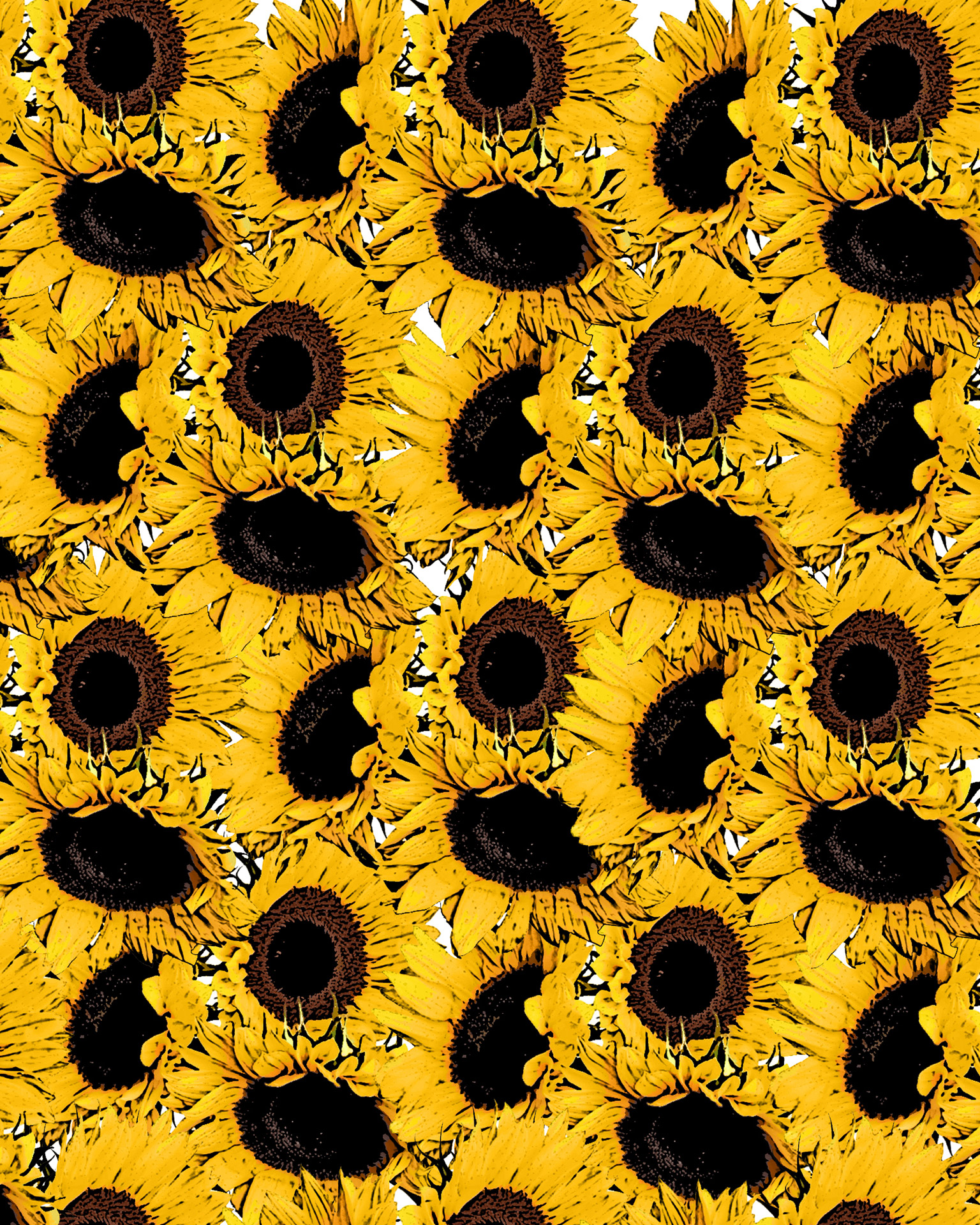 Sunflower Wallpaper Tumblr Hd Hd Blast