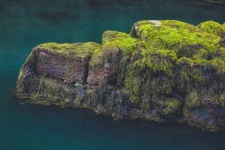 Roches couvertes d'algues