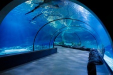 Akváriumi alagút