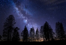 Trees Sky Milky Way Stars