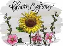 Citat Bloom Poster SunFlower
