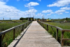 Boardwalk Over The Marshland