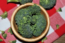 Broccoli In Bowl Close-up