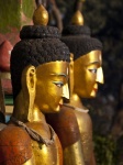 Buddhas In Profile 02