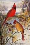 Kardinaal Vintage vogel illustratie