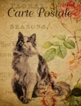 Kat Vintage Franse briefkaart