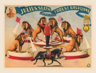 Vintage poster met circusleeuwen