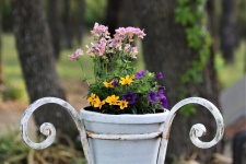 Kolorowe kwiaty w stojaku na rośliny