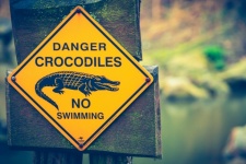 Sinal de alerta de crocodilos