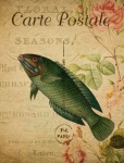 Ryby Vintage květinová pohlednice