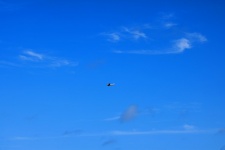 Aviones de ala fija en el cielo