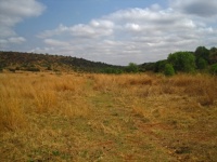 Flat Grassland On A Plain