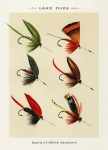 Fly fishing lure fishing print