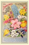 Catálogo de sementes vintage de flores