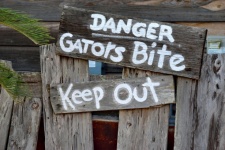 Panneau d'avertissement Gators