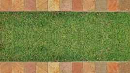 Green lawn with strip of paving