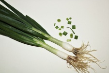 Green Onions Isolated On White