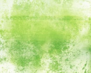 Green Background Abstract Texture
