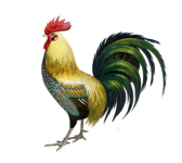 Art vintage de poulet coq