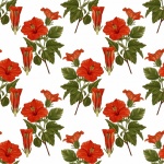 Hibiscus Rosa Floral Wallpaper