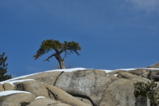 Lone Tree Rocks