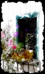 акварель мыть цветы в окне