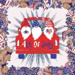 Gnome Fourth Of July Poster