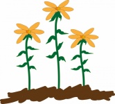 Trei Floarea Soarelui Ilustrație