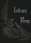 Capa de livro de samambaias indianas
