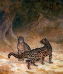 Chats léopard jaguar vintage