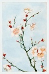 Arta de afiș vintage de floare de cireș