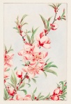 Poster art vintage di fiori di ciliegio