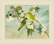 Cherry blossom birds vintage art