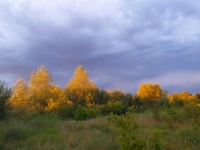 Landschaft Herbst Feld Natur