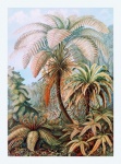 Arte vintage di paesaggio di palma